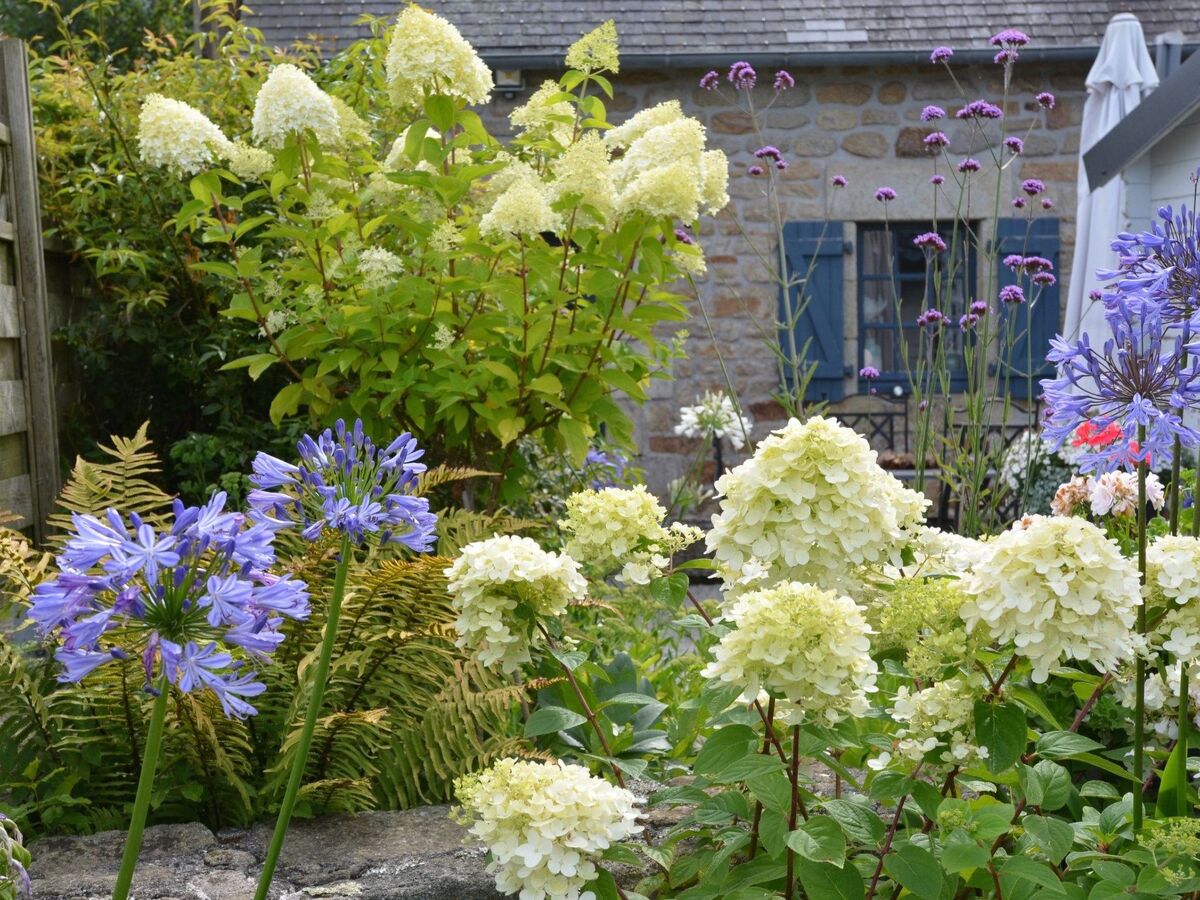 Maison bretonne avec jardin et barbecue à Plonevez-Porzay - Photo 6