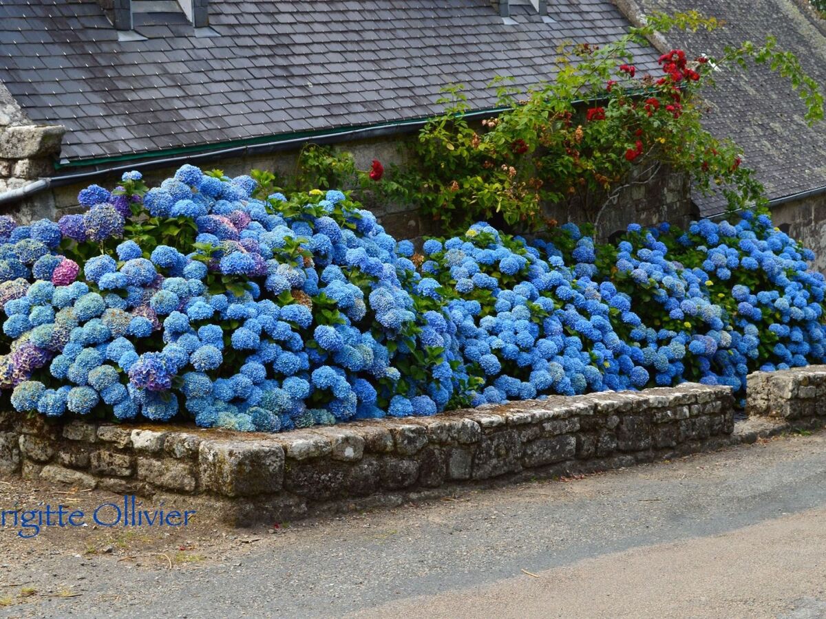 Maison bretonne avec jardin et barbecue à Plonevez-Porzay - Photo 20