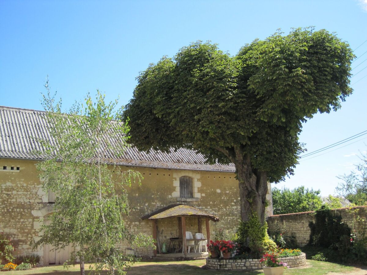Maison de maître Die Linden – vignoble du Haut-Poitou - Photo 13