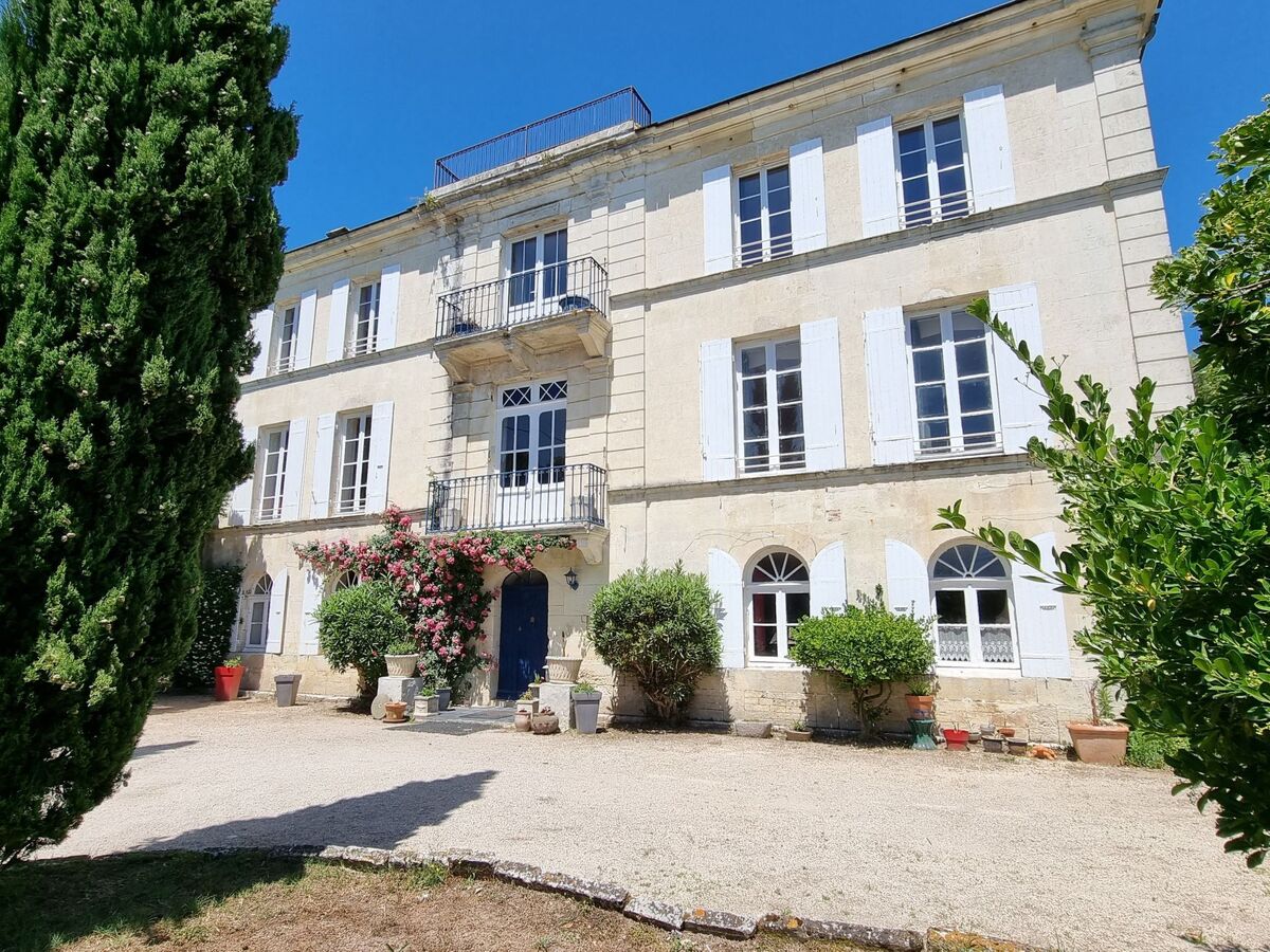 Château de Rochebonne, 8 chambres, piscine et parc - Photo 1