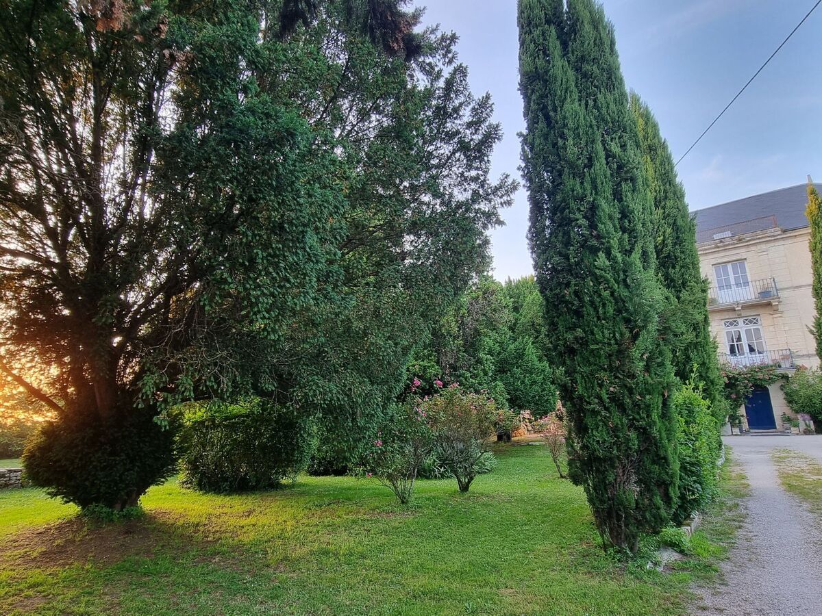 Château de Rochebonne, 8 chambres, piscine et parc - Photo 10
