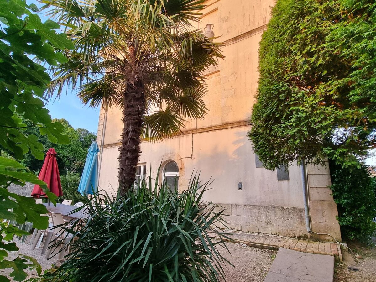 Château de Rochebonne, 8 chambres, piscine et parc - Photo 12