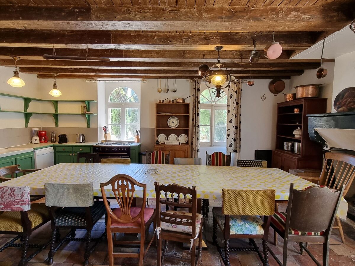 Château de Rochebonne, 8 chambres, piscine et parc - Photo 23