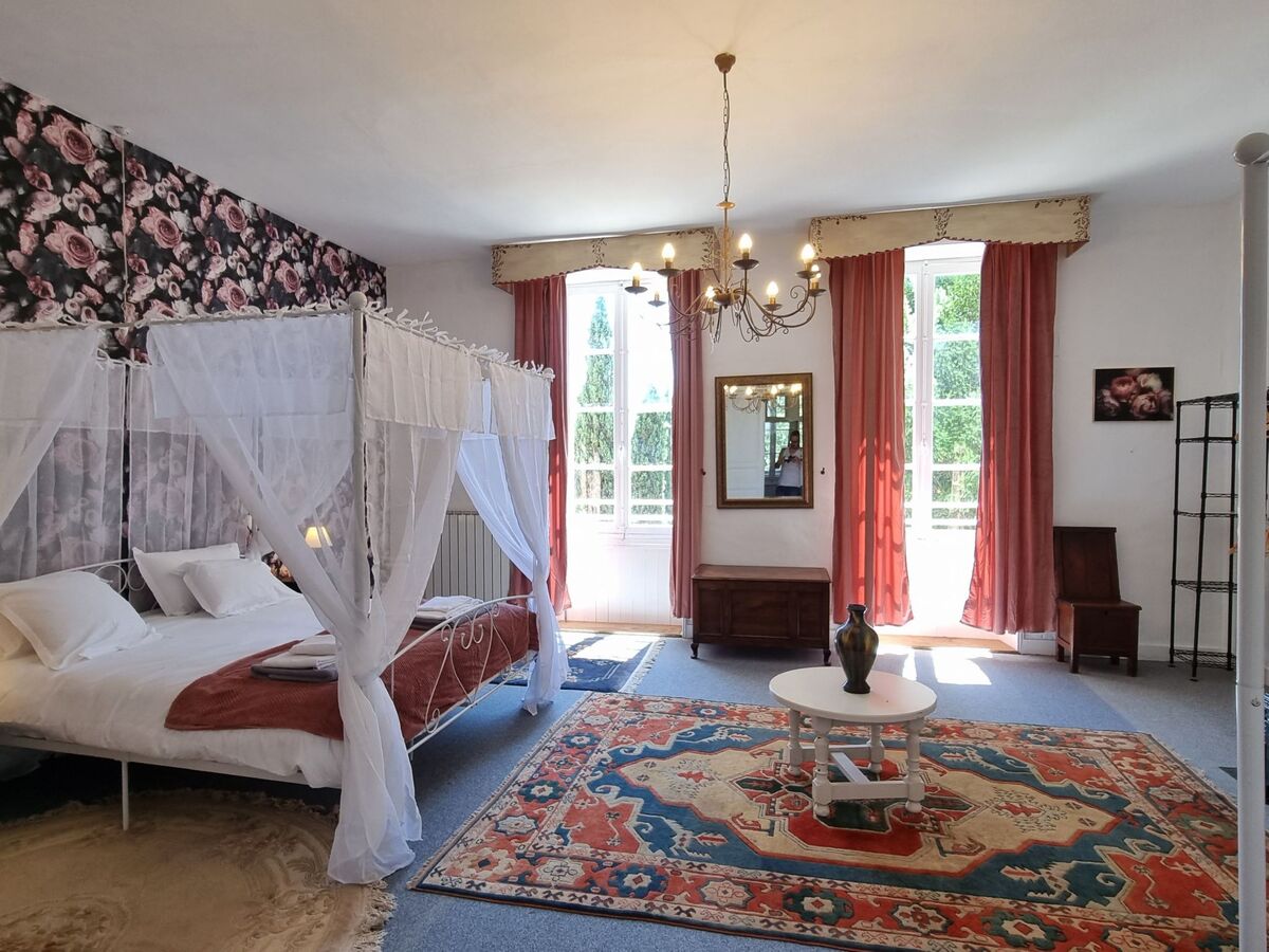 Château de Rochebonne, 8 chambres, piscine et parc - Photo 32