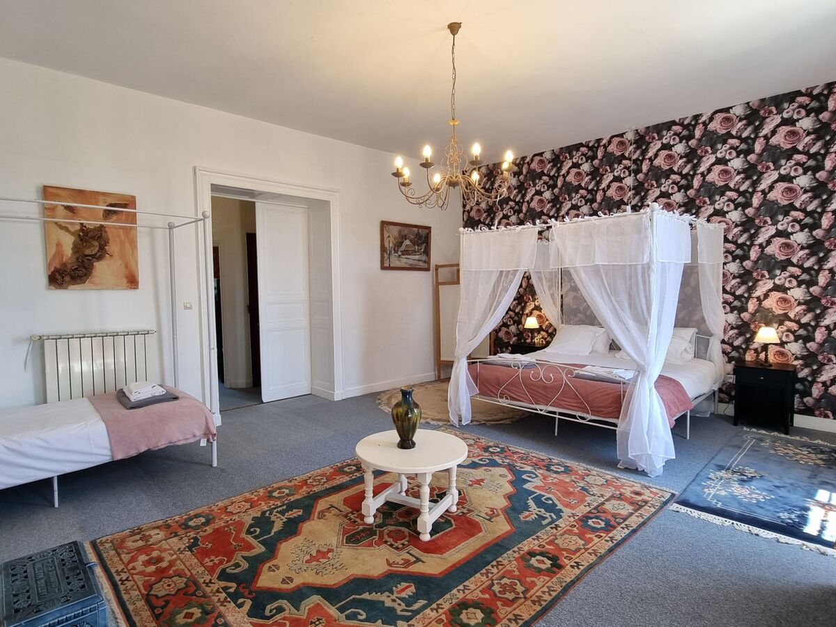 Château de Rochebonne, 8 chambres, piscine et parc - Photo 34