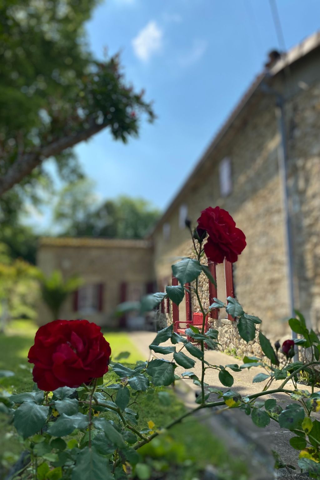 Maison en pierre avec piscine à Pujols - Photo 1