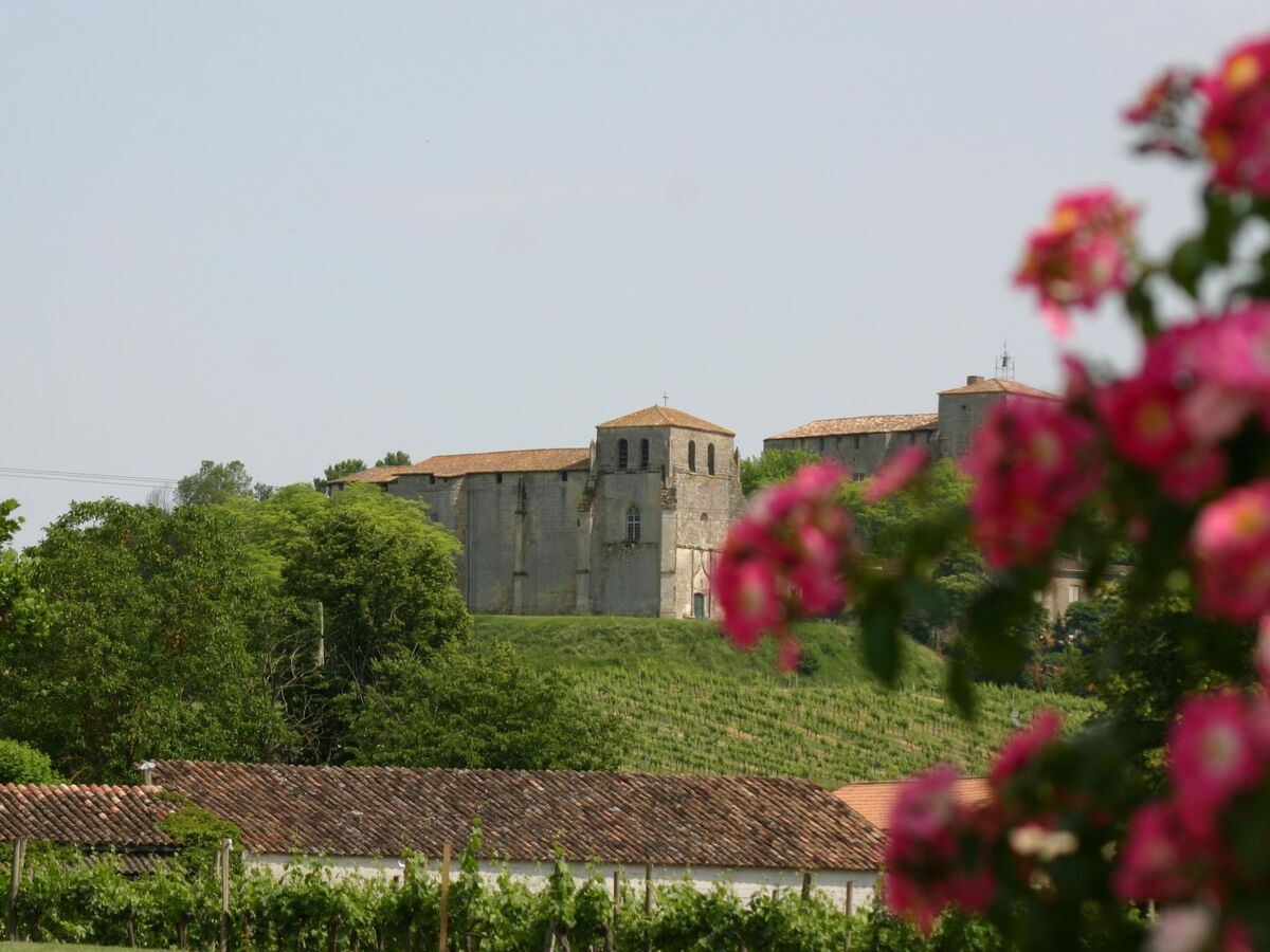 Maison en pierre avec piscine à Pujols - Photo 14