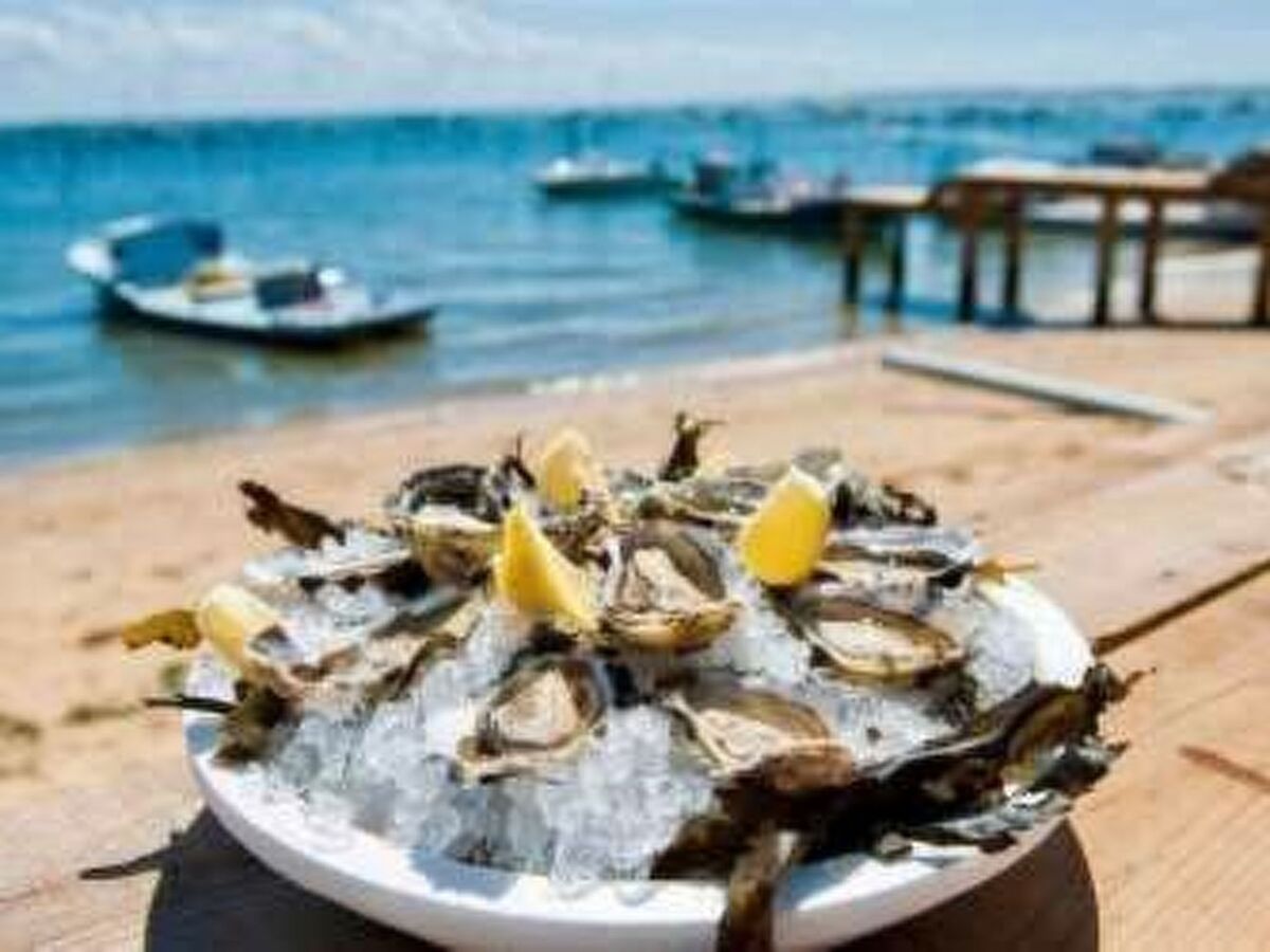 Villa 10 personnes, piscine chauffée au Cap-Ferret - Photo 28