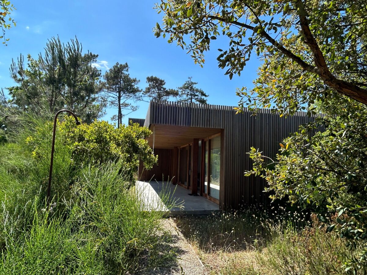 La Maison Pinède – Maison architecte en forêt près Lit-et-Mixe - Photo 1