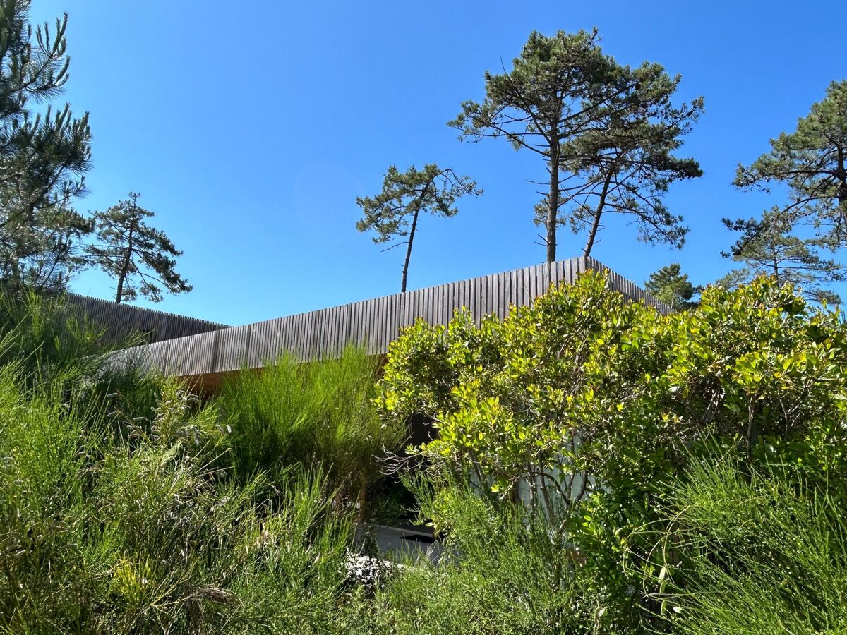 La Maison Pinède – Maison architecte en forêt près Lit-et-Mixe - Photo 2