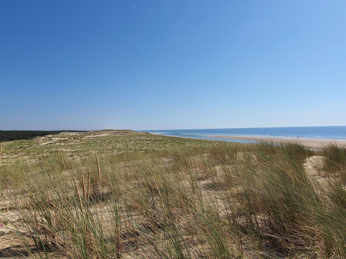 Villa Wood Contis – 3 chambres, plage à 900 m - Photo 22