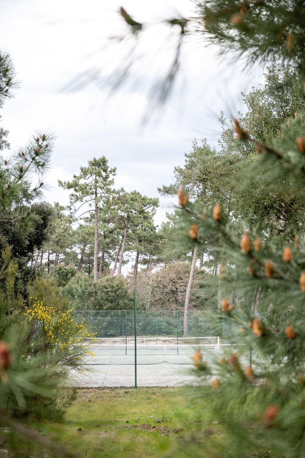 Villa Cork 4 chambres, forêt landaise à 900m de la plage - Photo 32
