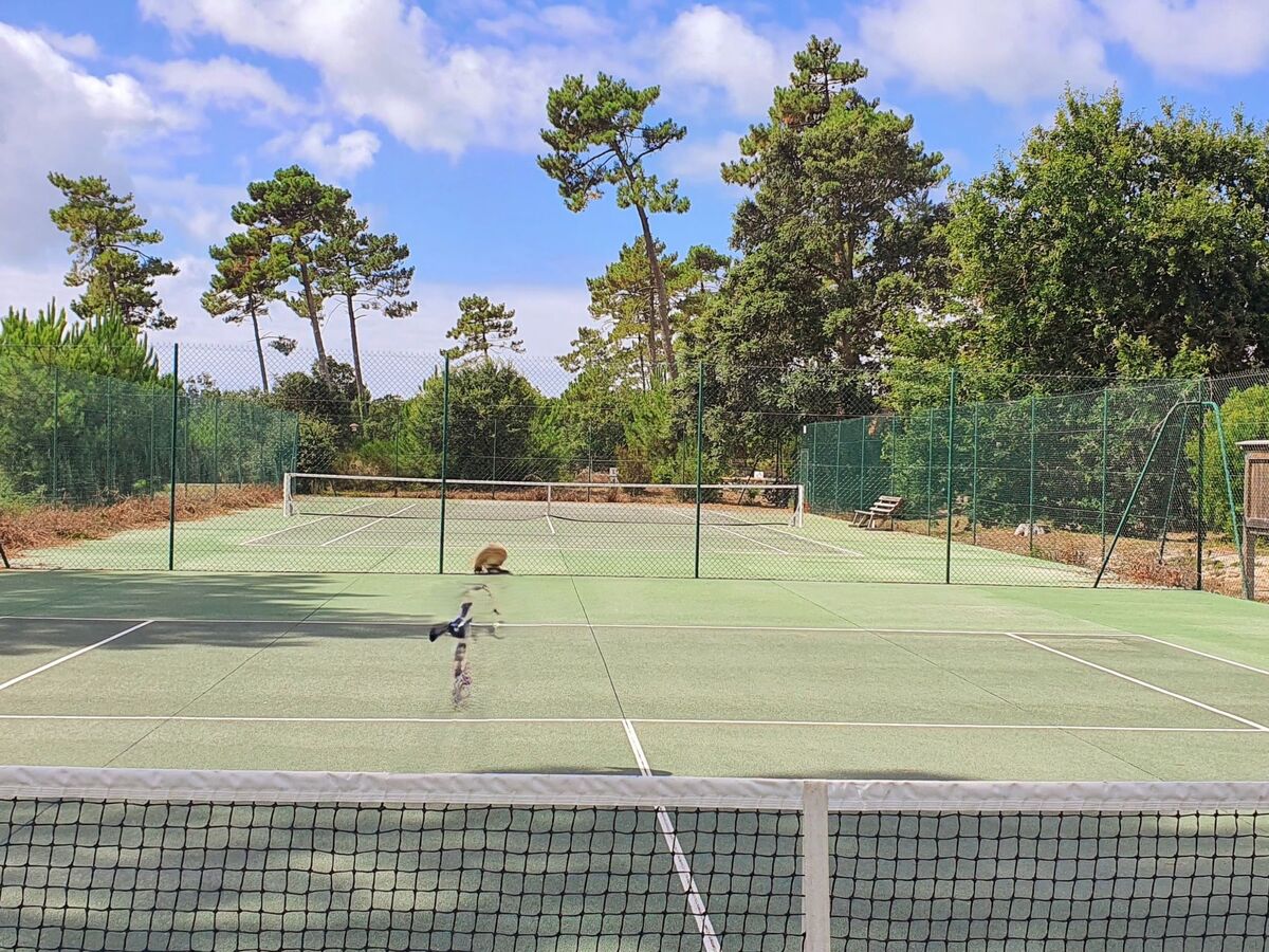 Villa Cork 4 chambres, forêt landaise à 900m de la plage - Photo 33