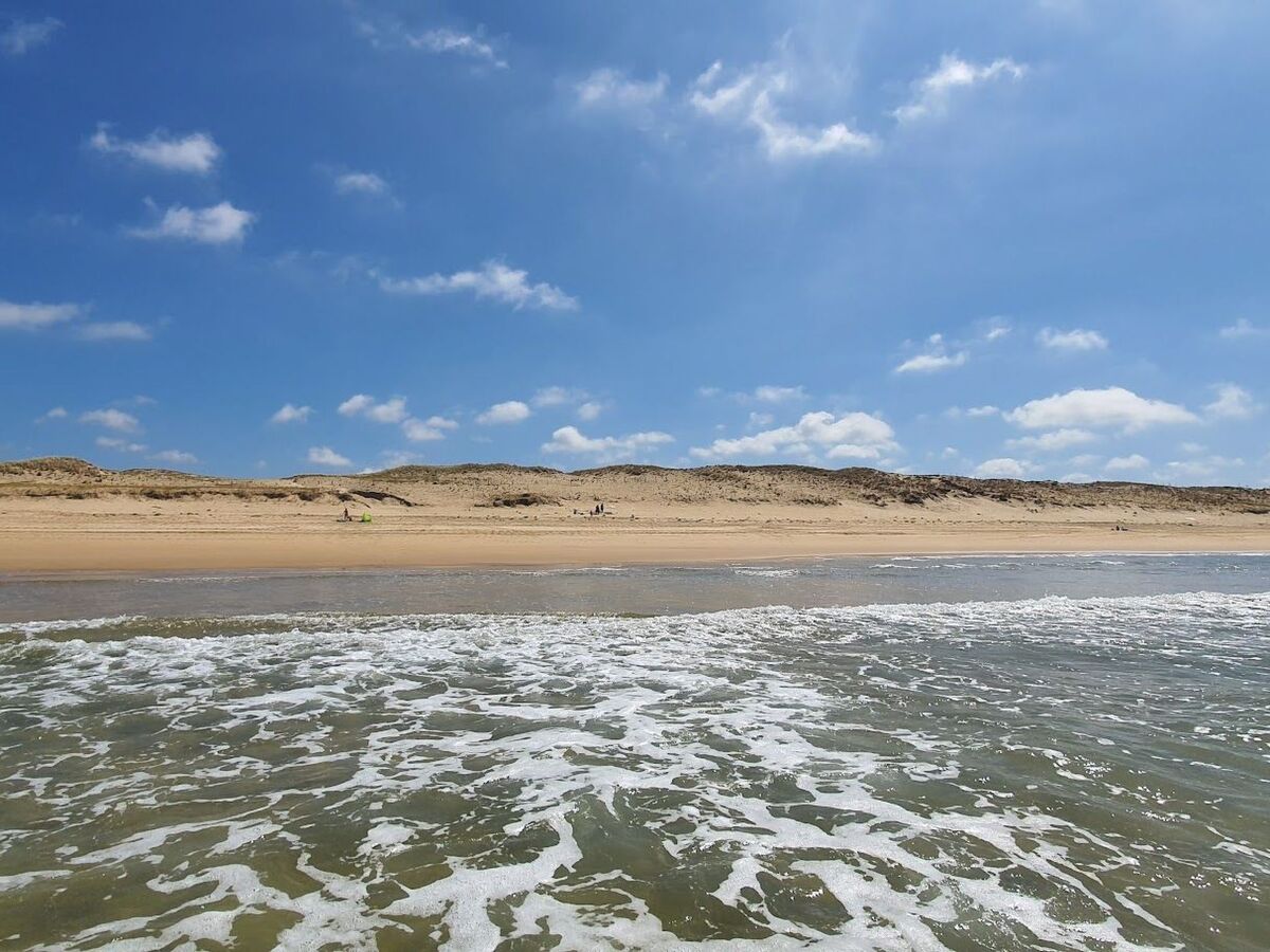 Villa Cork 4 chambres, forêt landaise à 900m de la plage - Photo 39