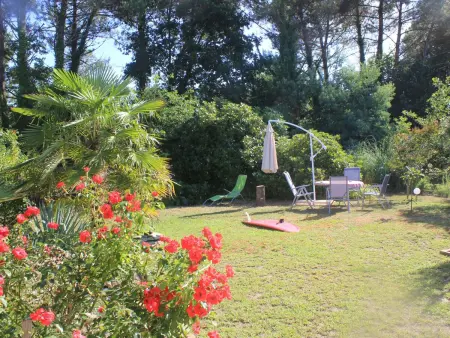 La Belle Vie – Maison 7 pers. à Messanges, 550 m² jardin : photo 5