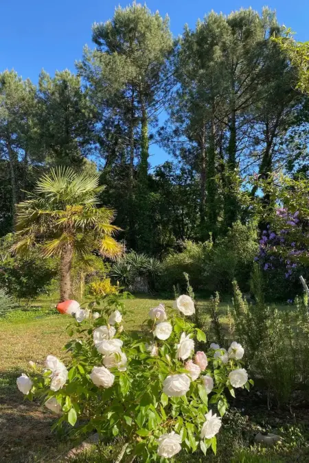 La Belle Vie – Maison 7 pers. à Messanges, 550 m² jardin : photo 7