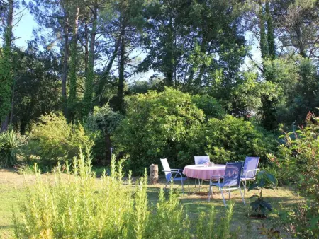 La Belle Vie – Maison 7 pers. à Messanges, 550 m² jardin : photo 11
