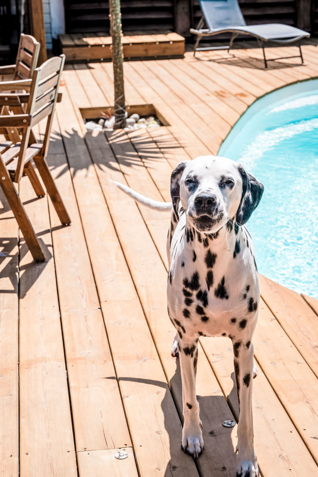 Villa Eden Bleu – Maison 2 ch, piscine chauffée et spa privé - Photo 47