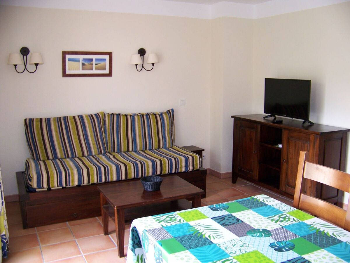 Appartement 2 chambres avec terrasse à Soustons - Photo 3