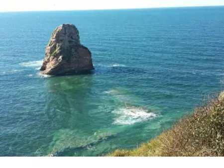 Appartement basque avec jardin privé à Biarritz : photo 9