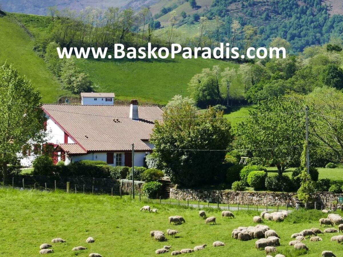 Appartement Baigura à Cambo-les-Bains, vue Pyrénées - Photo 19