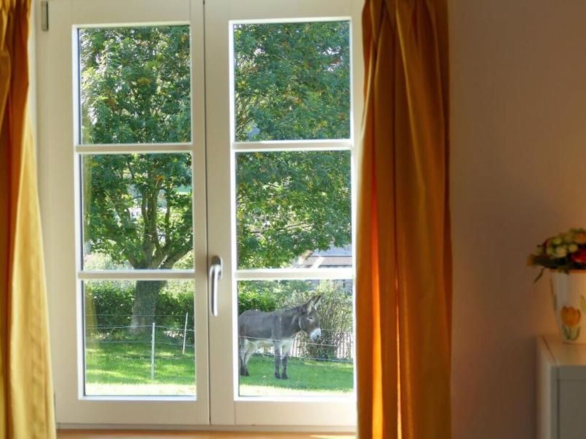 Appartement écologique Louhossoa, vue Pyrénées - Photo 4