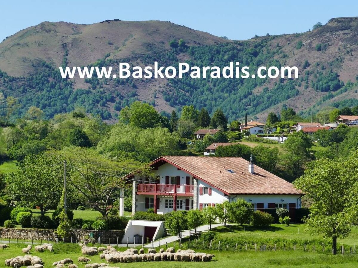 Appartement écologique Louhossoa, vue Pyrénées - Photo 16