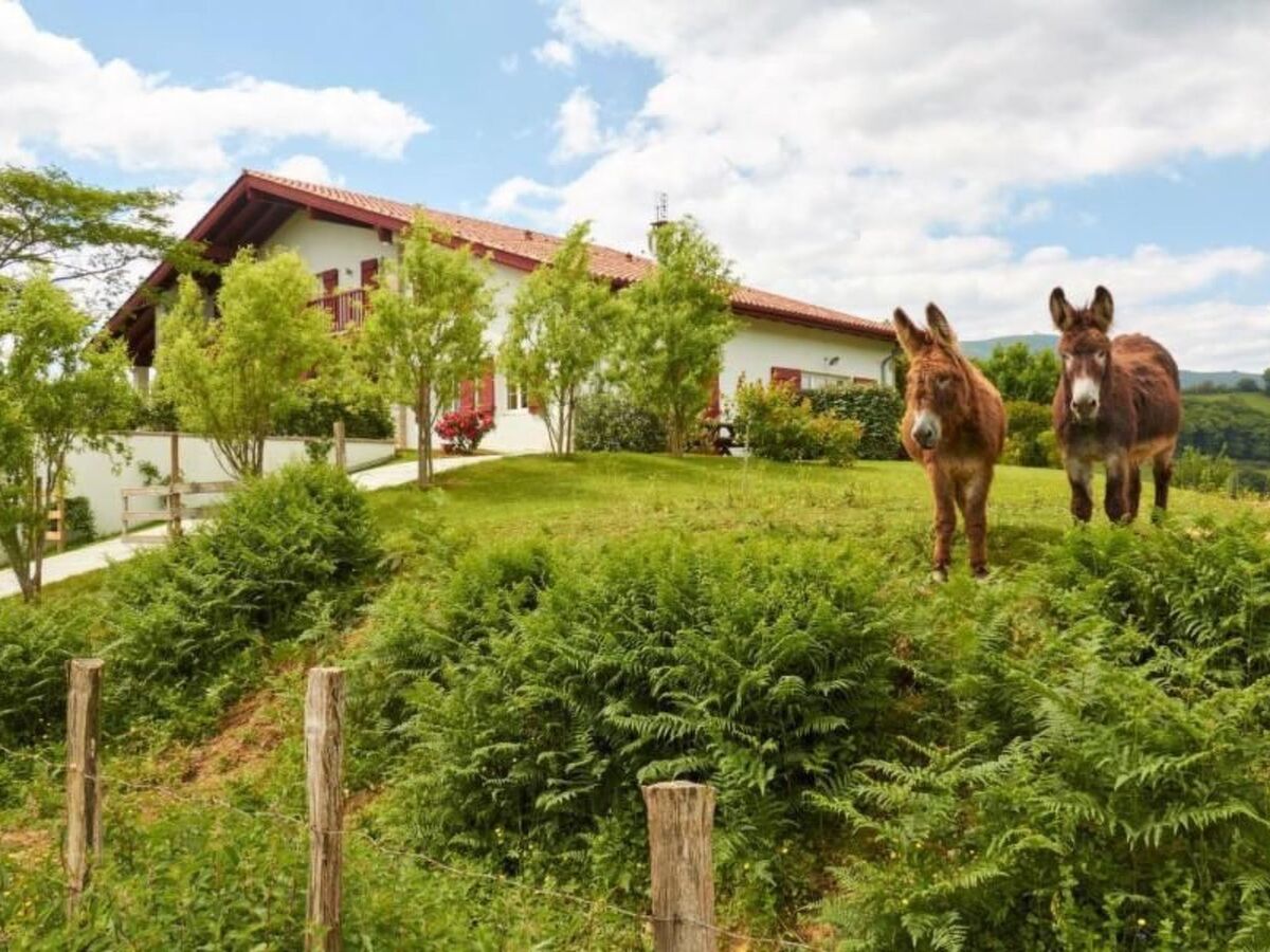 Appartement écologique Louhossoa, vue Pyrénées - Photo 17