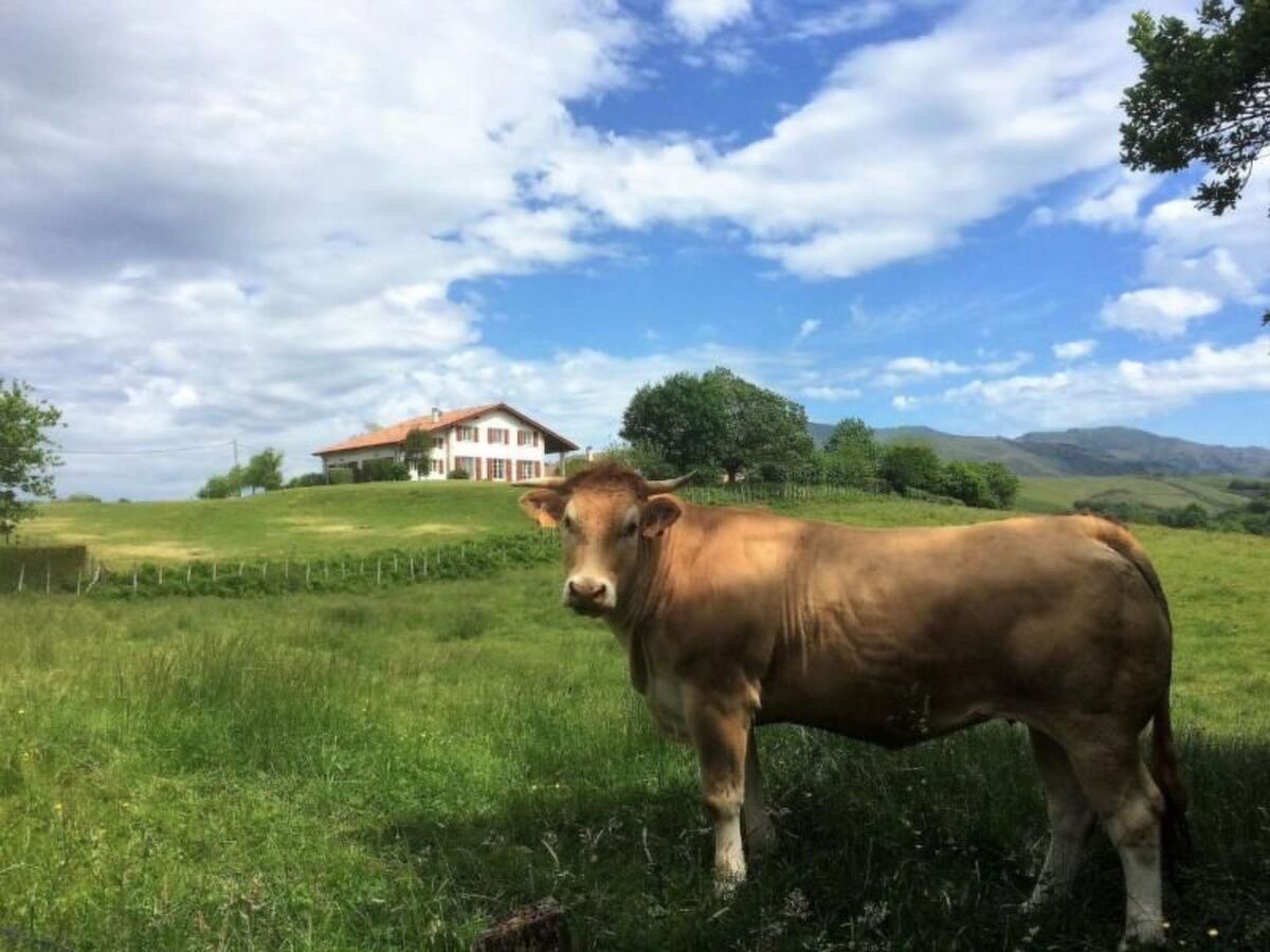 Appartement écologique Louhossoa, vue Pyrénées - Photo 18