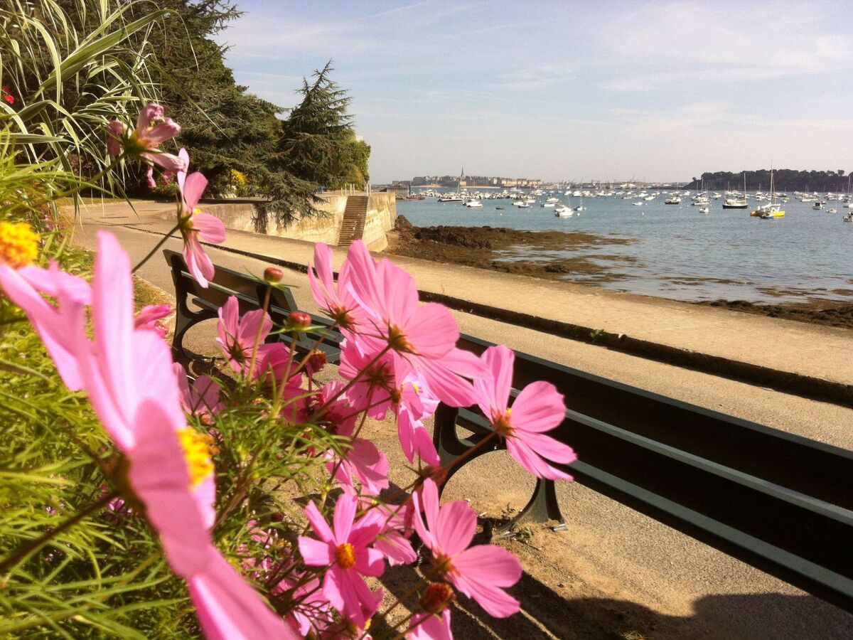 Le Nid d'Emeraude : maison 8 pers. à Cancale - Photo 33
