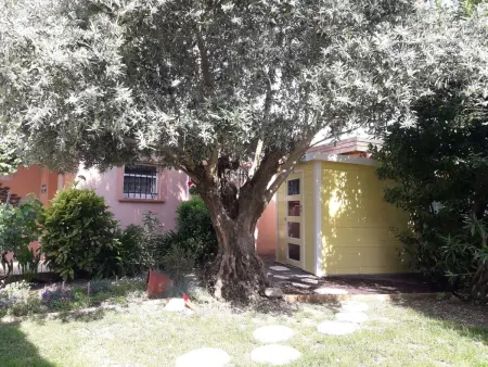 Maison Les Cyprès avec piscine privée à Colomiers - Photo 9