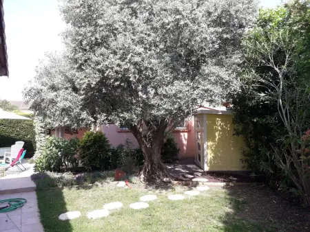 Maison Les Cyprès avec piscine privée à Colomiers - Photo 11
