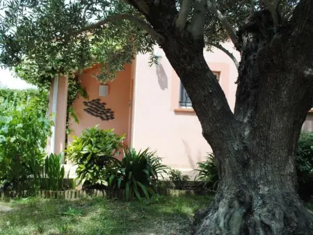 Maison Les Cyprès avec piscine privée à Colomiers - Photo 12