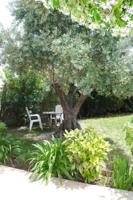 Maison Les Cyprès avec piscine privée à Colomiers - Photo 13