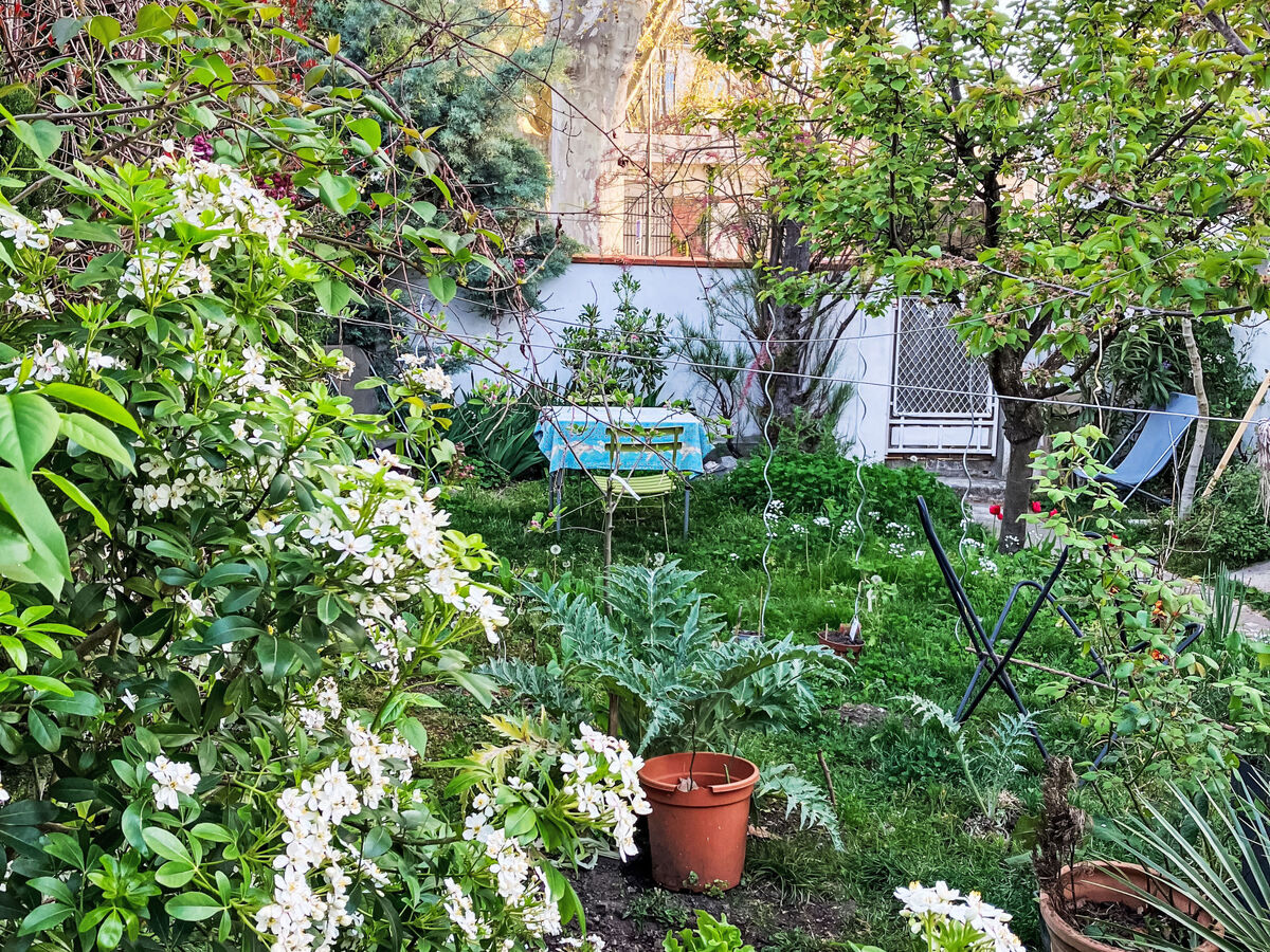 Chambre d'hôtes avec terrasse et parking gratuit à Toulouse - Photo 3