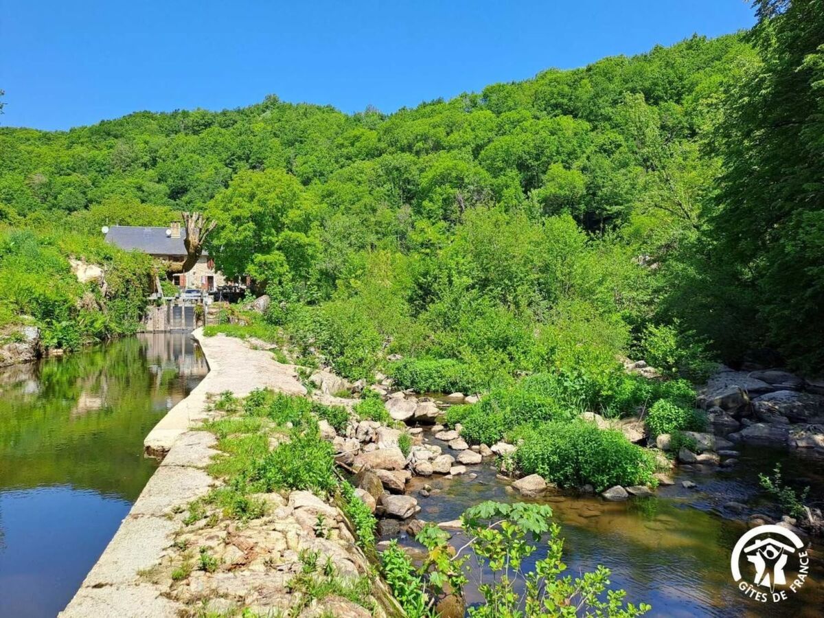 Moulin du 15e siècle à Ferrières - 42 m² - Photo 18