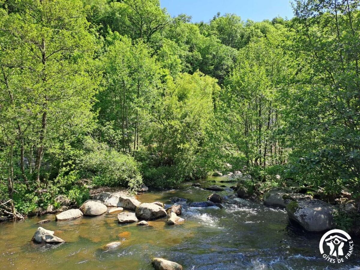 Moulin du 15e siècle à Ferrières - 42 m² - Photo 21
