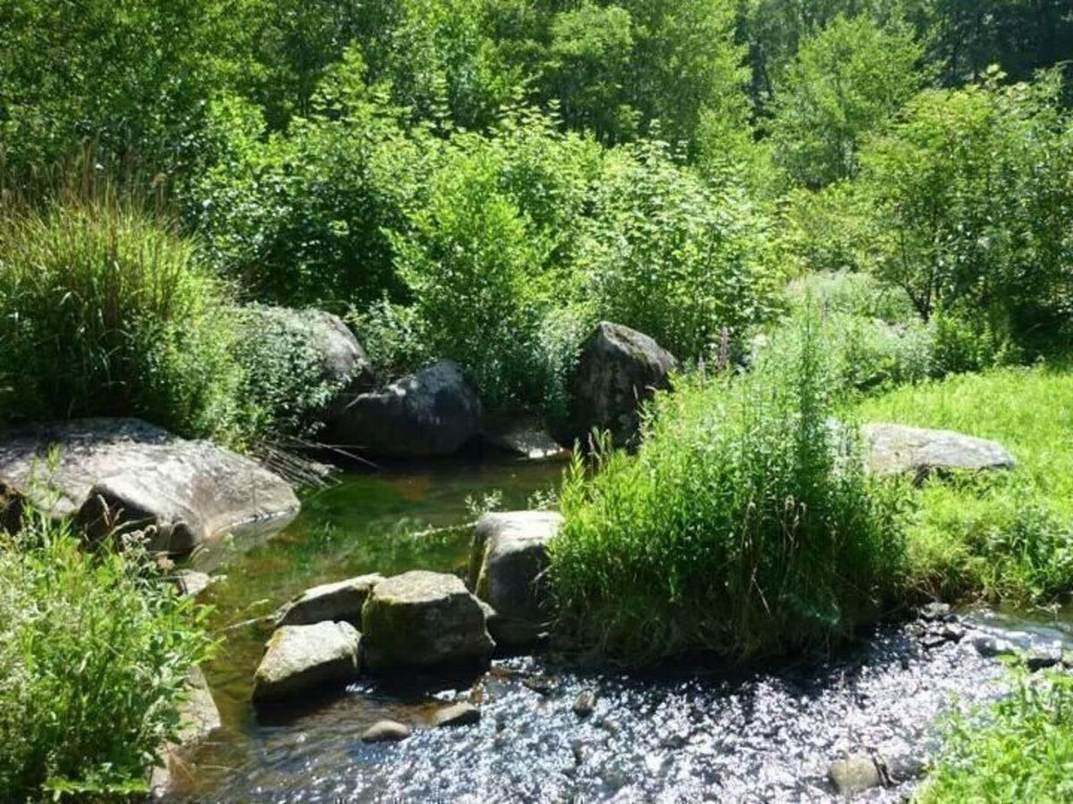 Moulin du 15e siècle à Ferrières - 42 m² - Photo 27