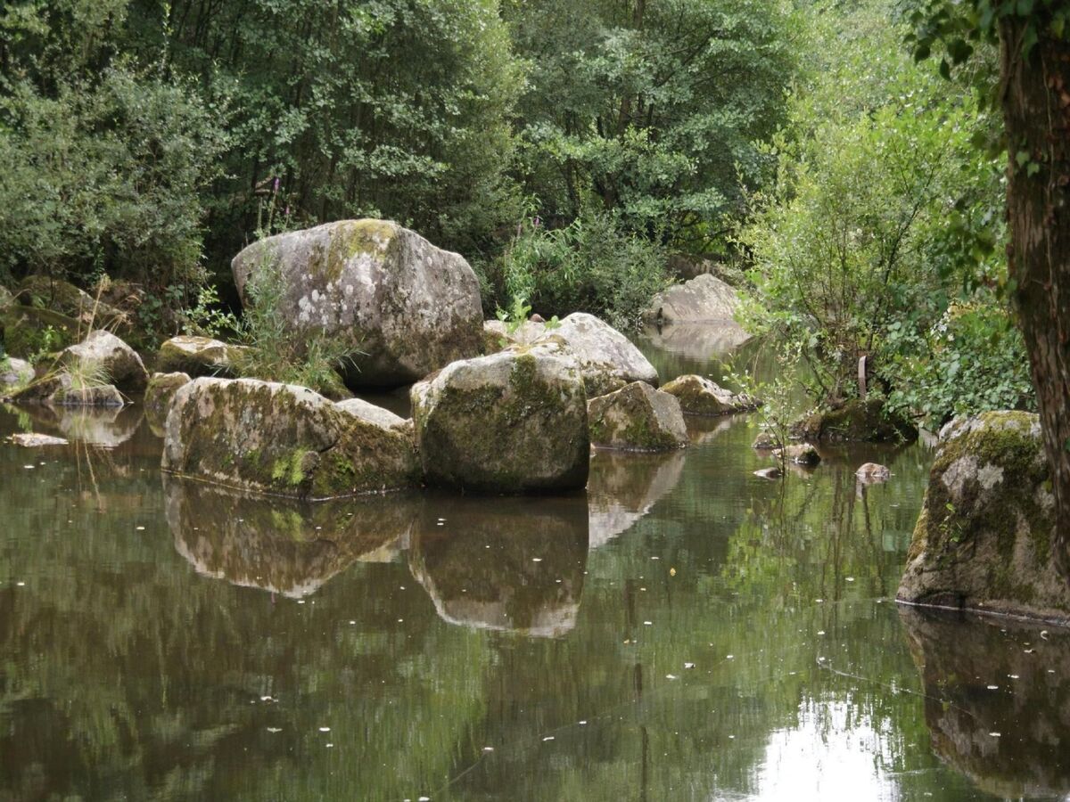 Moulin du 15e siècle à Ferrières - 42 m² - Photo 28