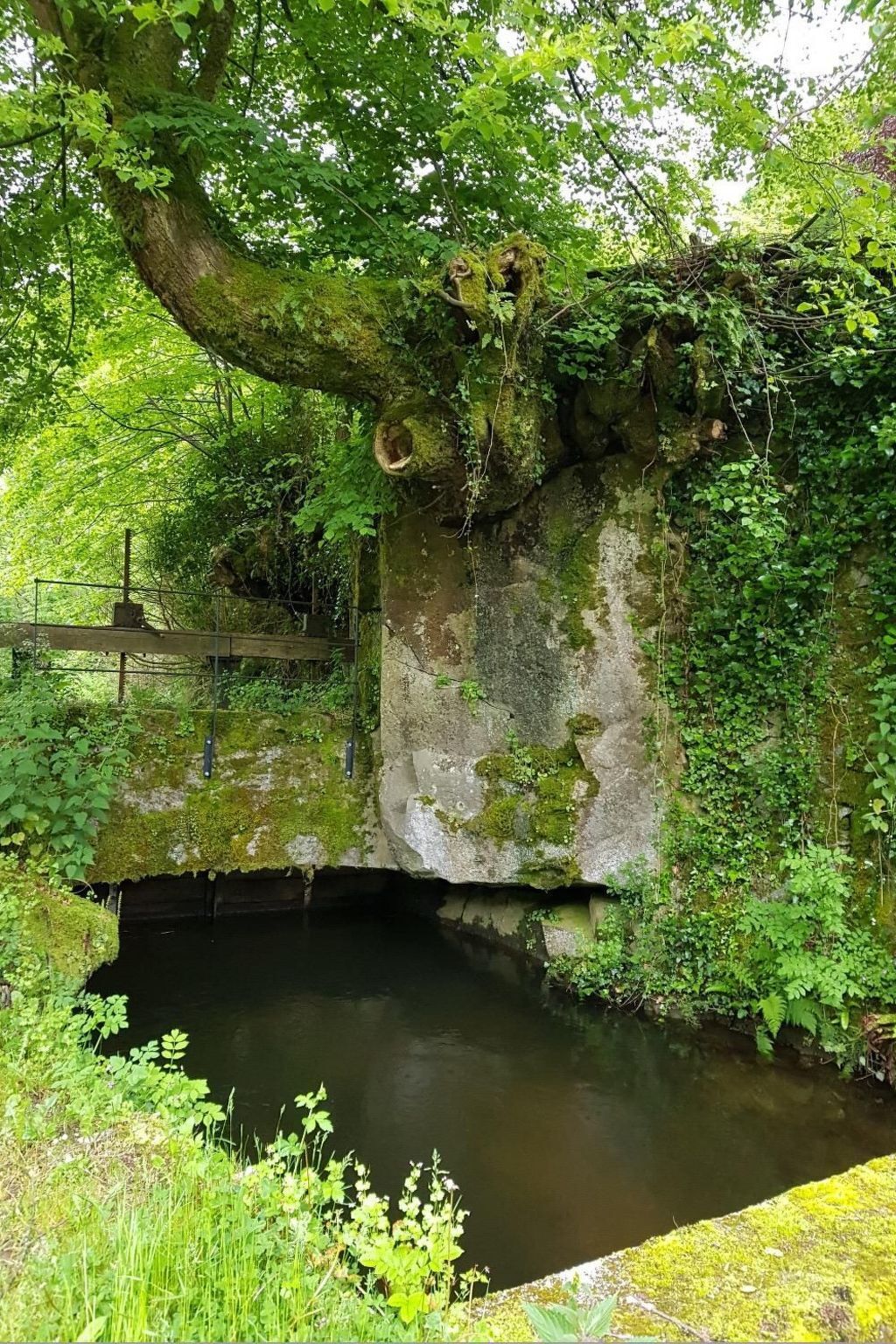 Le Havre Sauvage – Appartement en moulin historique à Ferrières - Photo 27