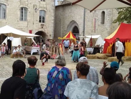 La Ferme des Paons – Pigeonnier 4 pers. à Montagudet : photo 24