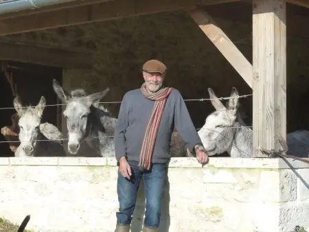 La Ferme des Paons – Pigeonnier 4 pers. à Montagudet : photo 26