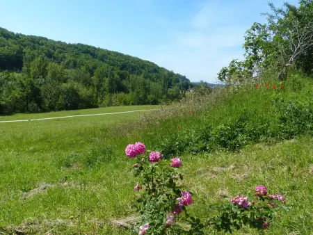 La Ferme des Paons – Pigeonnier 4 pers. à Montagudet : photo 33