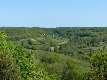 La Ferme des Paons – Pigeonnier 4 pers. à Montagudet : photo 35