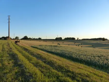 La Ferme des Paons – Pigeonnier 4 pers. à Montagudet : photo 36