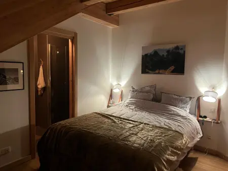 Chalet luxe 6 chambres, accès direct aux pistes à Villard Reculas : photo 16