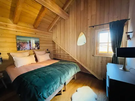 Chalet luxe 6 chambres, accès direct aux pistes à Villard Reculas : photo 19