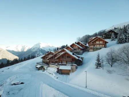 Chalet luxe 6 chambres, accès direct aux pistes à Villard Reculas : photo 21