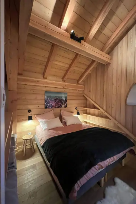 Chalet luxe 6 chambres, accès direct aux pistes à Villard Reculas : photo 28