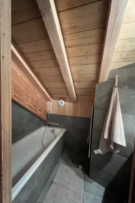 Chalet luxe 6 chambres, accès direct aux pistes à Villard Reculas : photo 29